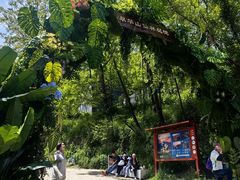 -秦岭终南山世界地质公园翠华山景区