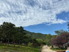 -北京西山国家森林公园