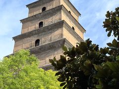 -大慈恩寺(大雁塔)