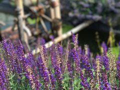 -长春公园(普阳街道)