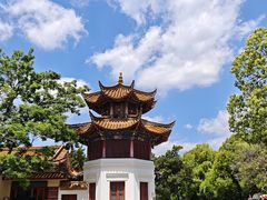 -翠湖公园