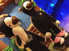 -济州岛泰迪熊博物馆