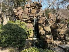 -秋霞圃
