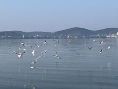 -蠡湖大桥公园