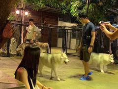 -TrueLove @ Neverland (Husky Cafe)