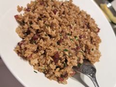 -杨氏青龙虾·羊蝎子(托乐嘉店)