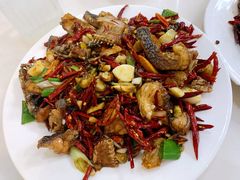 -田记餐馆(富国街店)