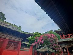 -报恩寺(平武县)