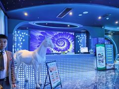 -青春足迹·概念店·小憩足疗SPA
