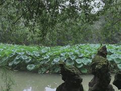 -成都杜甫草堂博物馆