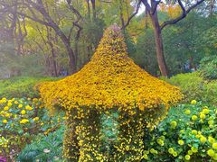 -杭州植物园