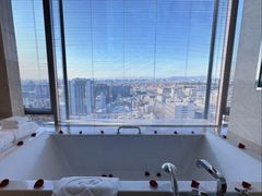 -北京丽晶酒店