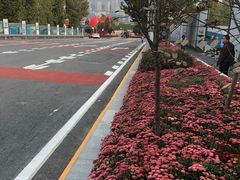 -重庆市江北嘴中央商务区中央公园