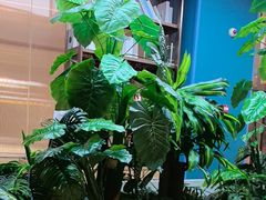 -悦海·家宴·冰花皮皮虾大锅贴(宝龙店)