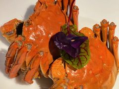 -同仁堂粹和餐厅·食养养生宴(新大都店)