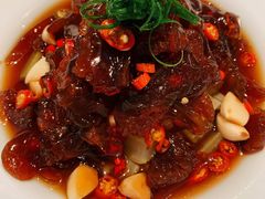 老醋蜇头-北京老铺烤鸭(高新店)
