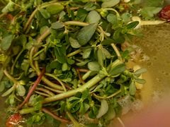 药膳汤锅-钦善斋(武侯祠店)
