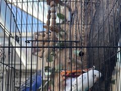 -丽江庭院之丽江往事(安定门店)
