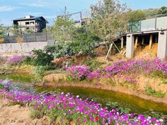 -亮河湾山庄