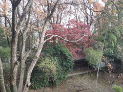 -团城山公园