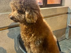 -吉友粥底火锅(方斜路店)