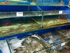 -张树军海鲜(王府壹号店)