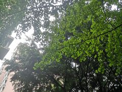 -好利来(红牌楼店)