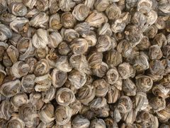 -老城隍庙食品商店(豫园商城店)