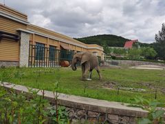 -哈尔滨北方森林动物园
