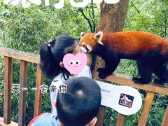 -老号尤兔头(幸福店)