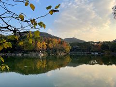 -白马涧龙池景区