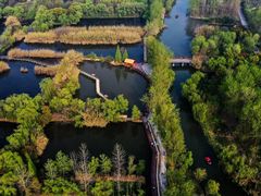 -溱湖国家湿地公园