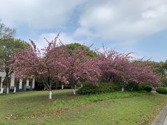 -石湖景区