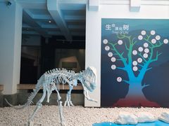 -昆明市博物馆(昆明市文物保护和考古研究中心)