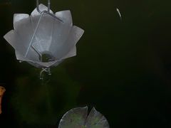-福济寺