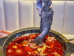 -蛙老爹·蜀香美蛙鱼头(王家湾店)
