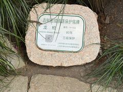 -汇龙潭