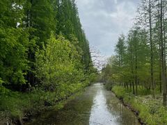 -东平国家森林公园