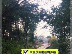 -大渡口区义渡公园