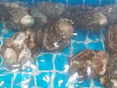 -蓝珊甄选海鲜自助·火锅大排档(近阿那亚店)