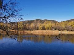 -北京植物园南门售票处