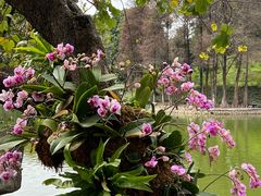 -桃花涧