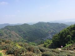 iphone_upload_pic-西湖风景区十里琅珰-五云山