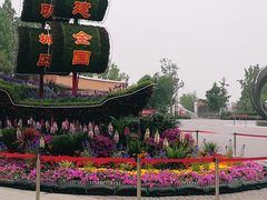 -大兴滨河森林公园