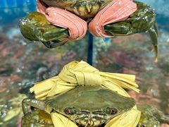 -辣螃铠盆盆蟹大排档(总店)