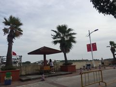 -大湾区中央湿地公园-十九涌