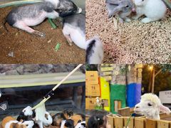 -正佳雨林生态植物园