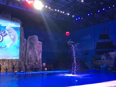 -华夏文旅海洋公园