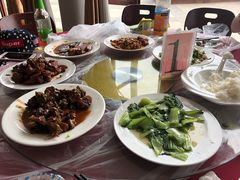 -上海都市菜园