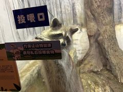 -大连圣亚海洋世界